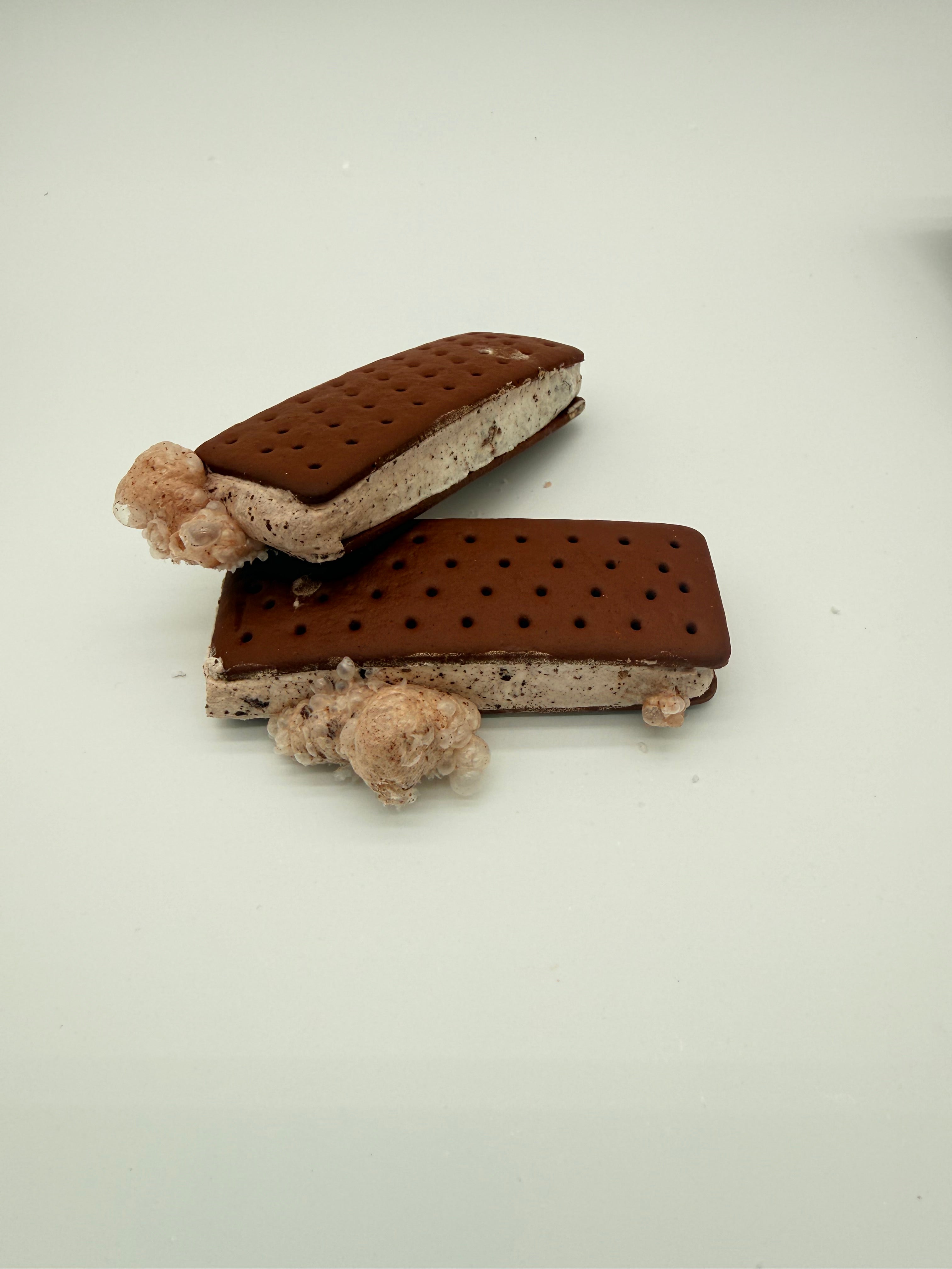 Ice Cream Sandwich - Cookies & Cream