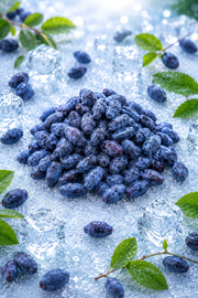 Freeze Dried Fruit - Haskap