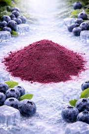 Freeze Dried Fruit Powder - Blueberry