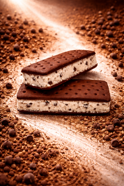 Ice Cream Sandwich - Chocolatey Chip