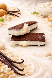 Freeze Dried Ice Cream Sandwich - Vanilla Yogurt